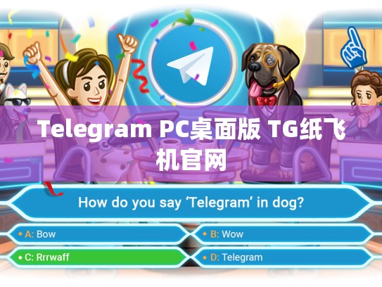 Telegram PC桌面版 TG纸飞机官网