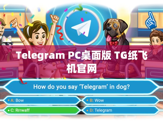 Telegram PC桌面版 TG纸飞机官网