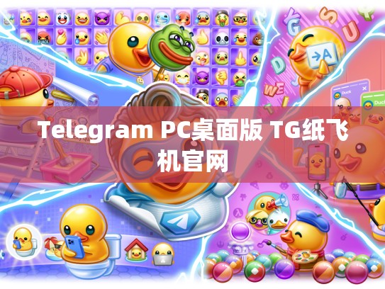 Telegram PC桌面版 TG纸飞机官网