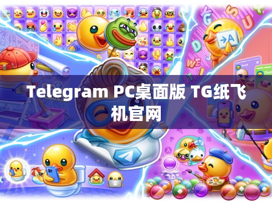 Telegram PC桌面版 TG纸飞机官网