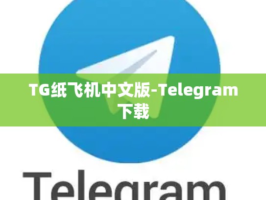 TG纸飞机中文版-Telegram下载