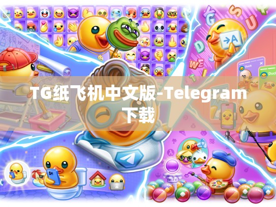 TG纸飞机中文版-Telegram下载