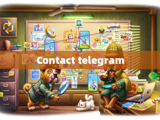 Contact telegram