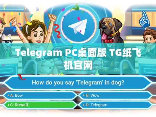 Telegram PC桌面版 TG纸飞机官网