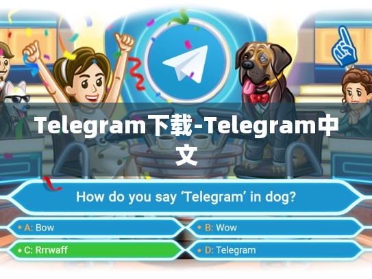 Telegram下载-Telegram中文