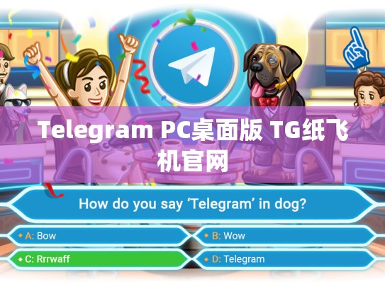 Telegram PC桌面版 TG纸飞机官网