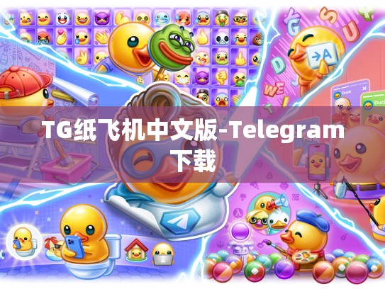 TG纸飞机中文版-Telegram下载