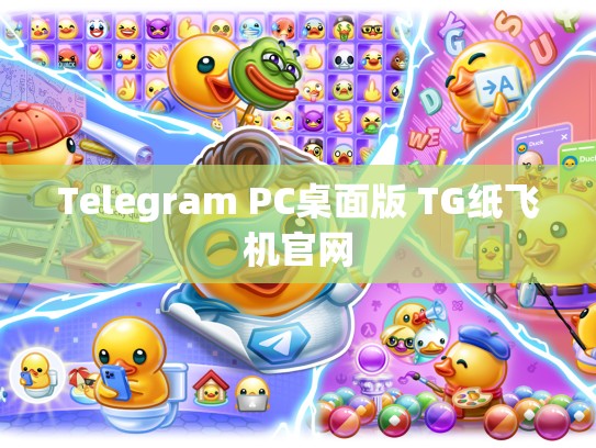 Telegram PC桌面版 TG纸飞机官网