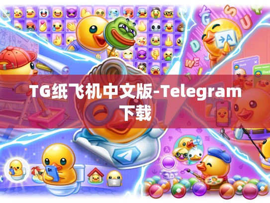 TG纸飞机中文版-Telegram下载