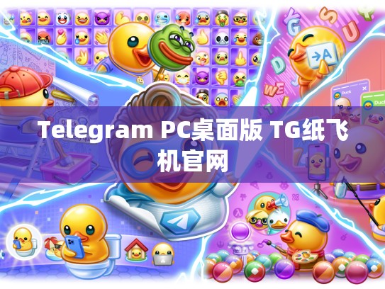 Telegram PC桌面版 TG纸飞机官网
