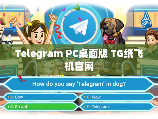 Telegram PC桌面版 TG纸飞机官网