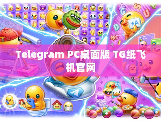 Telegram PC桌面版 TG纸飞机官网