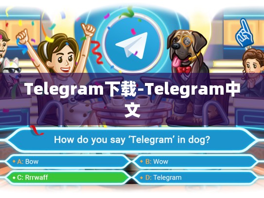 Telegram下载-Telegram中文