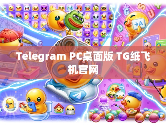 Telegram PC桌面版 TG纸飞机官网