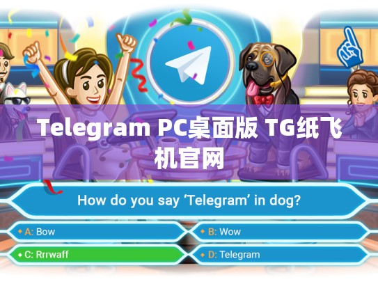 Telegram PC桌面版 TG纸飞机官网