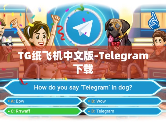 TG纸飞机中文版-Telegram下载