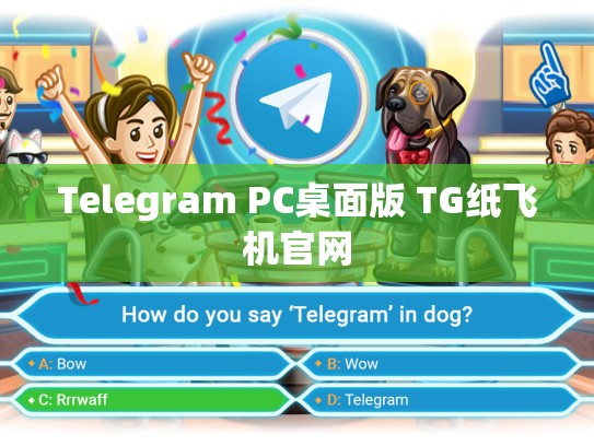 Telegram PC桌面版 TG纸飞机官网