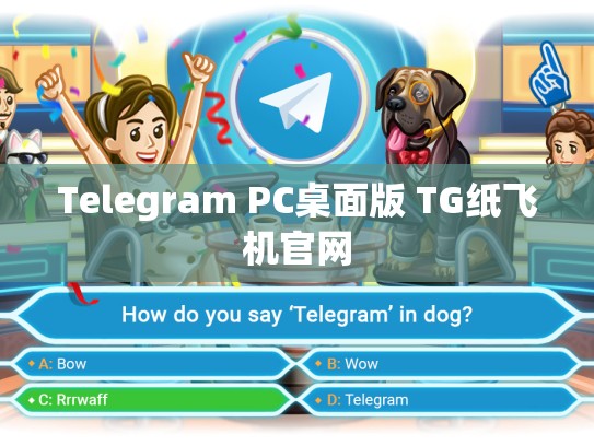Telegram PC桌面版 TG纸飞机官网