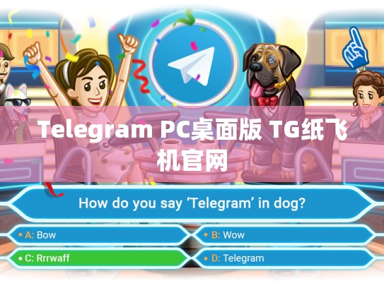 Telegram PC桌面版 TG纸飞机官网