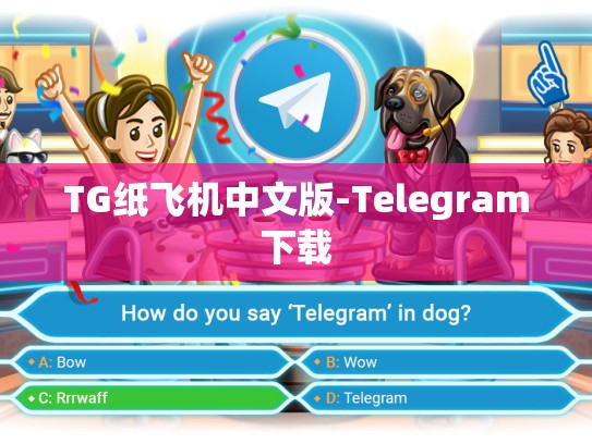 TG纸飞机中文版-Telegram下载