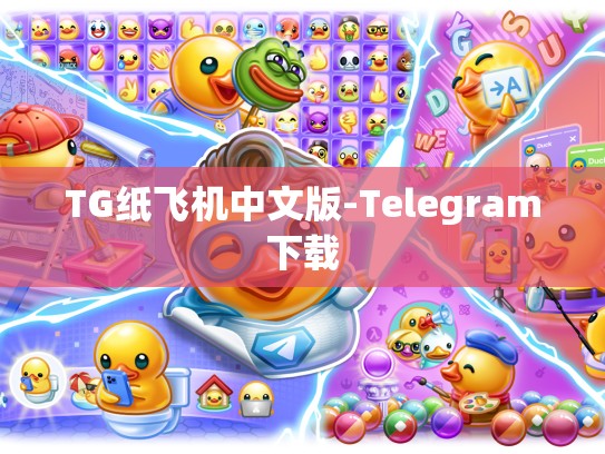 TG纸飞机中文版-Telegram下载