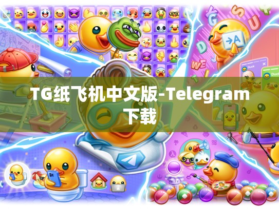 TG纸飞机中文版-Telegram下载