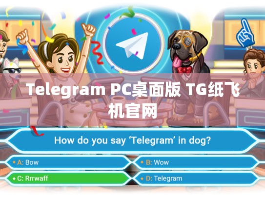 Telegram PC桌面版 TG纸飞机官网