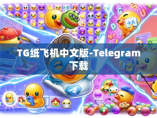 TG纸飞机中文版-Telegram下载