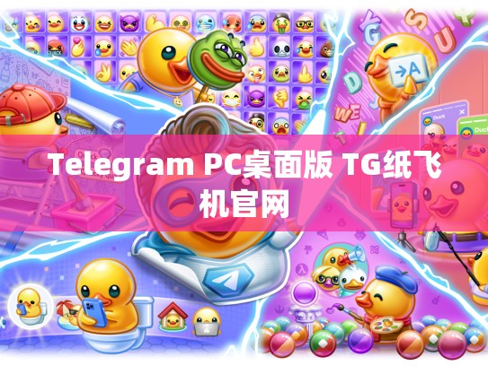 Telegram PC桌面版 TG纸飞机官网