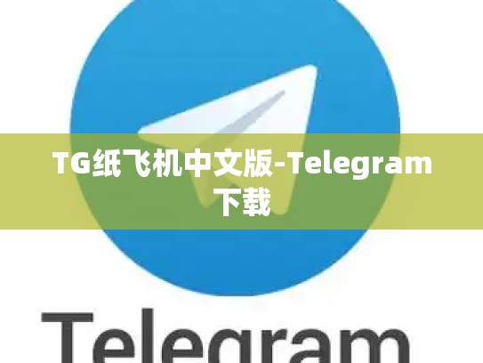 TG纸飞机中文版-Telegram下载
