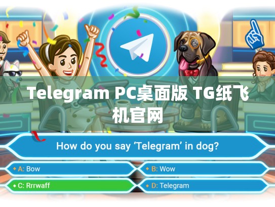 Telegram PC桌面版 TG纸飞机官网