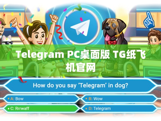 Telegram PC桌面版 TG纸飞机官网