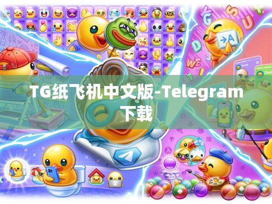 TG纸飞机中文版-Telegram下载