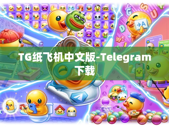 TG纸飞机中文版-Telegram下载