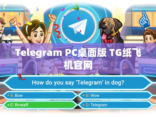 Telegram PC桌面版 TG纸飞机官网