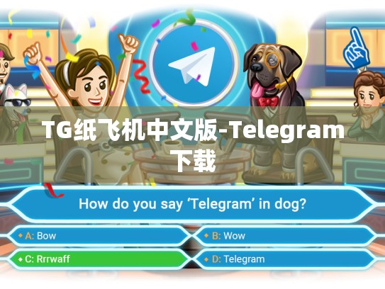 TG纸飞机中文版-Telegram下载