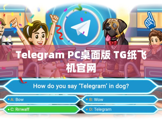 Telegram PC桌面版 TG纸飞机官网
