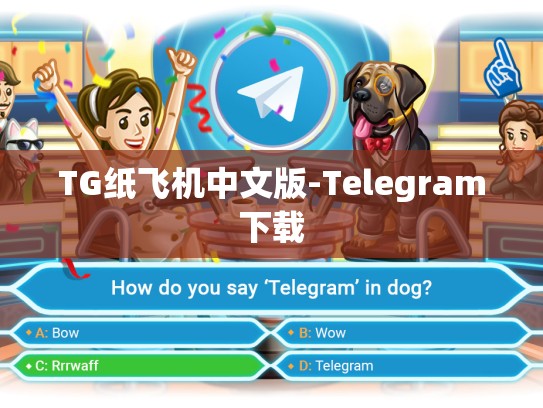 TG纸飞机中文版-Telegram下载
