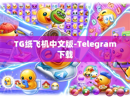 TG纸飞机中文版-Telegram下载