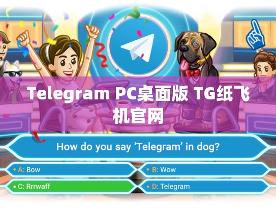 Telegram PC桌面版 TG纸飞机官网