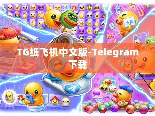 TG纸飞机中文版-Telegram下载