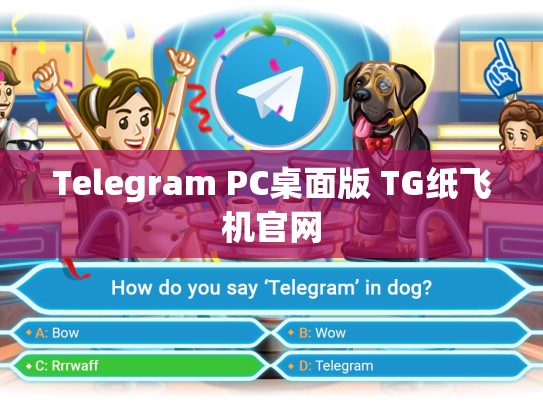 Telegram PC桌面版 TG纸飞机官网