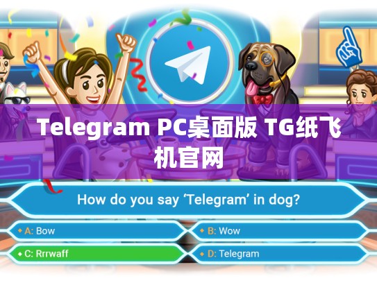 Telegram PC桌面版 TG纸飞机官网