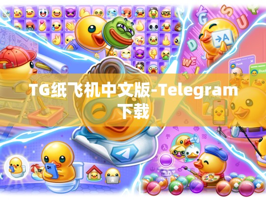 TG纸飞机中文版-Telegram下载