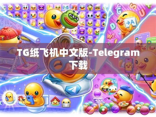 TG纸飞机中文版-Telegram下载