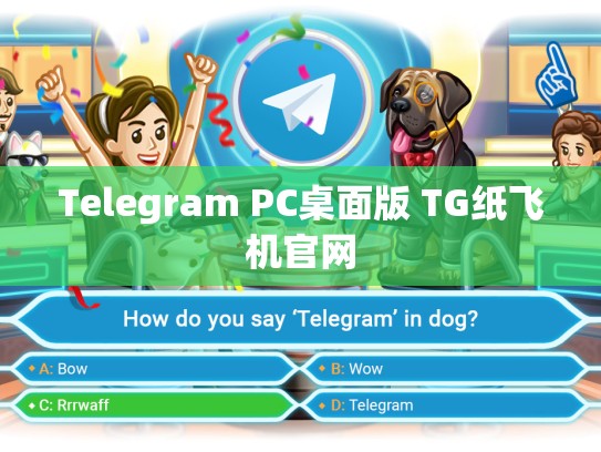Telegram PC桌面版 TG纸飞机官网