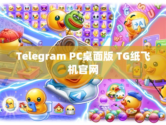 Telegram PC桌面版 TG纸飞机官网