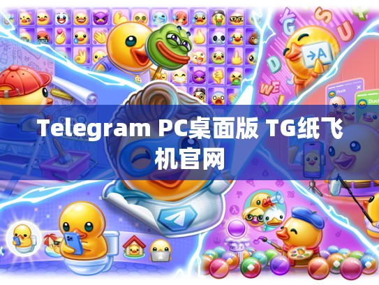 Telegram PC桌面版 TG纸飞机官网