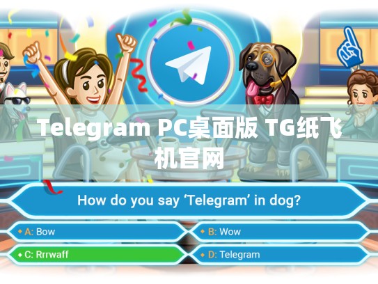 Telegram PC桌面版 TG纸飞机官网