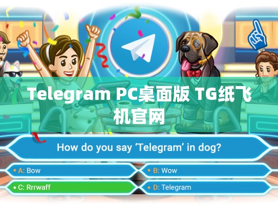 Telegram PC桌面版 TG纸飞机官网